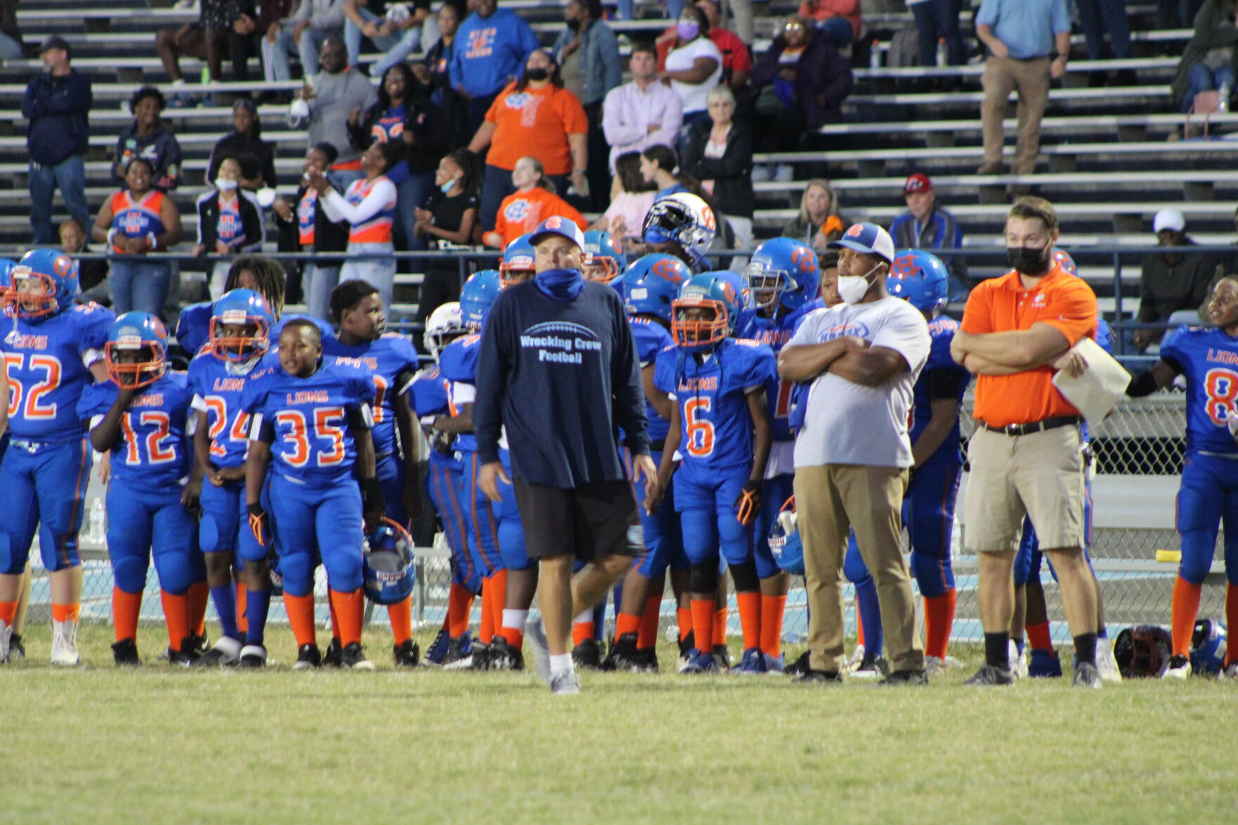 Lions